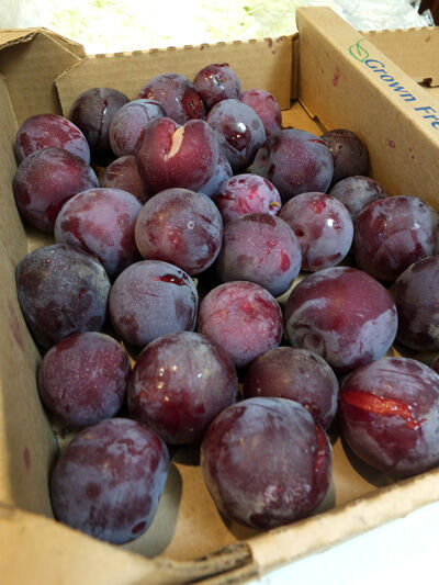 2020-06-27-plum3