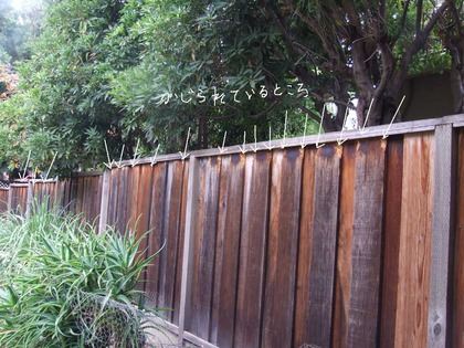 2014-11-19-fence