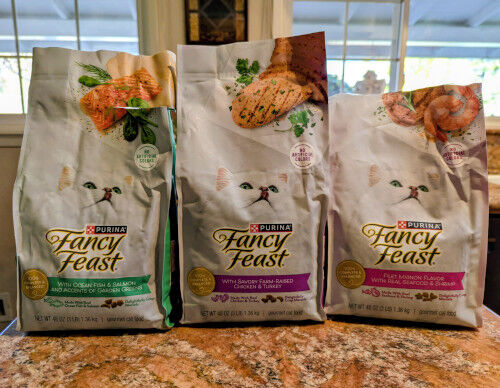 2026-01-04-catfood2