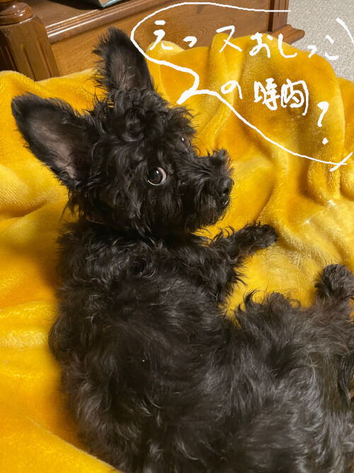2026-01-29-kiki1