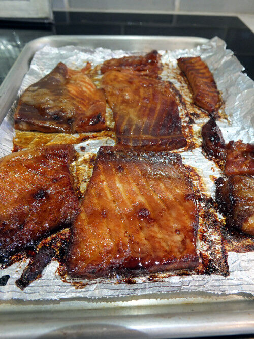 2025-12-28-salmon4