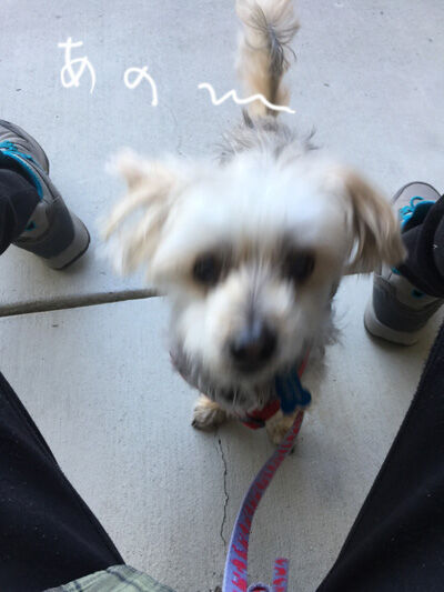 2021-03-27-rasta1