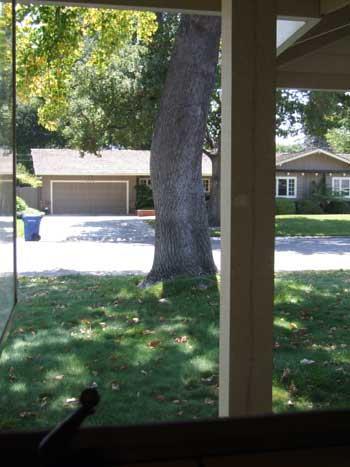 2014-08-25-window