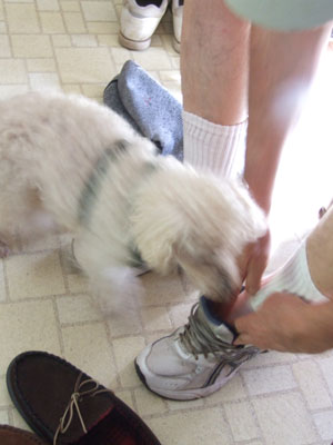 2014-02-24-chibi7