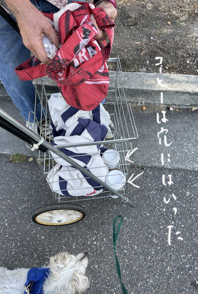 2023-06-02-cart3.
