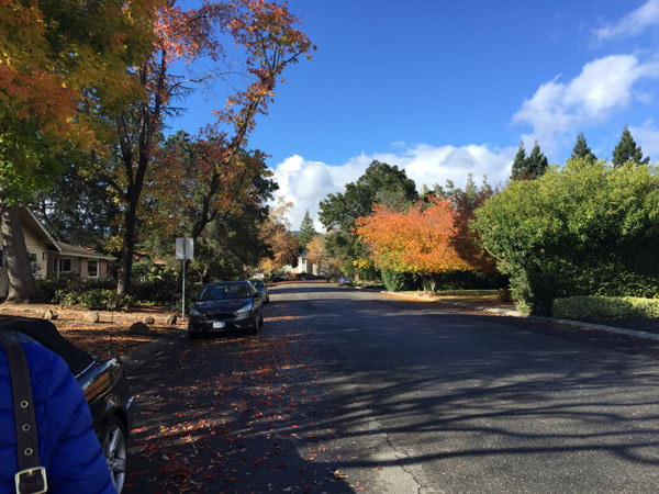 2018-11-22-weather8