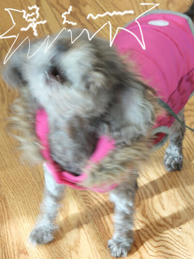 2023-03-16-judy2