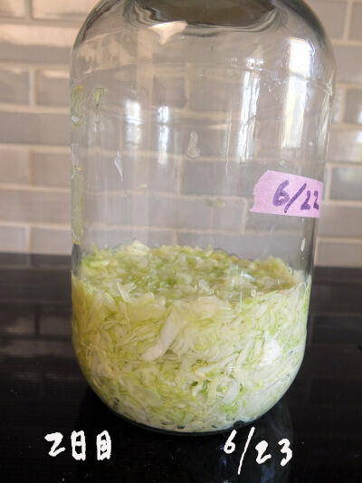 2025-06-26-sauerkraut1