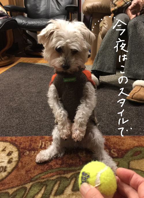 2019-01-05-rasta5