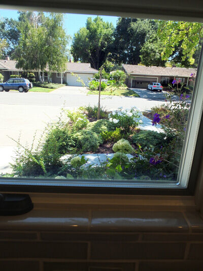 2021-08-04-window1