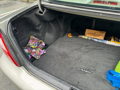2024-02-08-trunk
