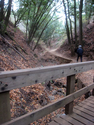 2013-11-19-rancho1