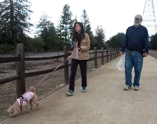 2017-02-18-walk