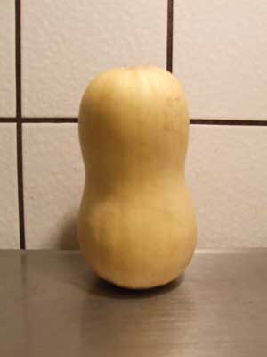 2014-10-15-butternutjpg