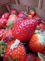 ichigo close up
