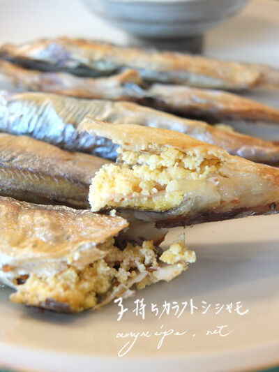 2020-12-21-fish1