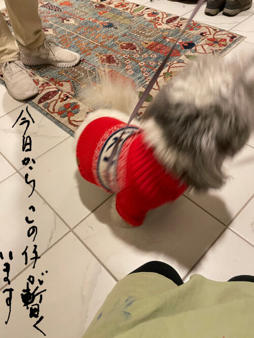 2025-12-17-charlie1