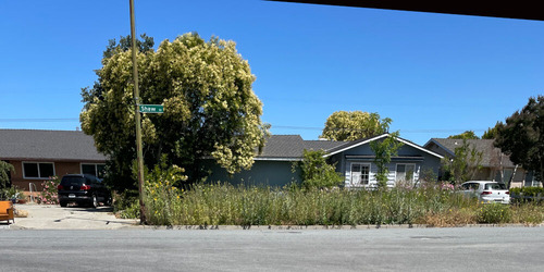 2025-09-20-natural-garden3