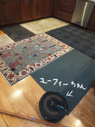 2024-06-01-vacume1