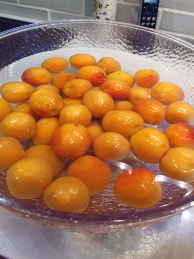 2016-07-22-apricots1