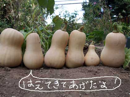 2014-10-14-butter1