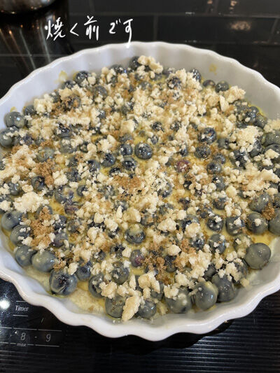 2023-03-12-blueberry3