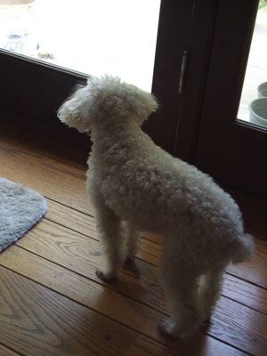 2012-10-20-chibikitai