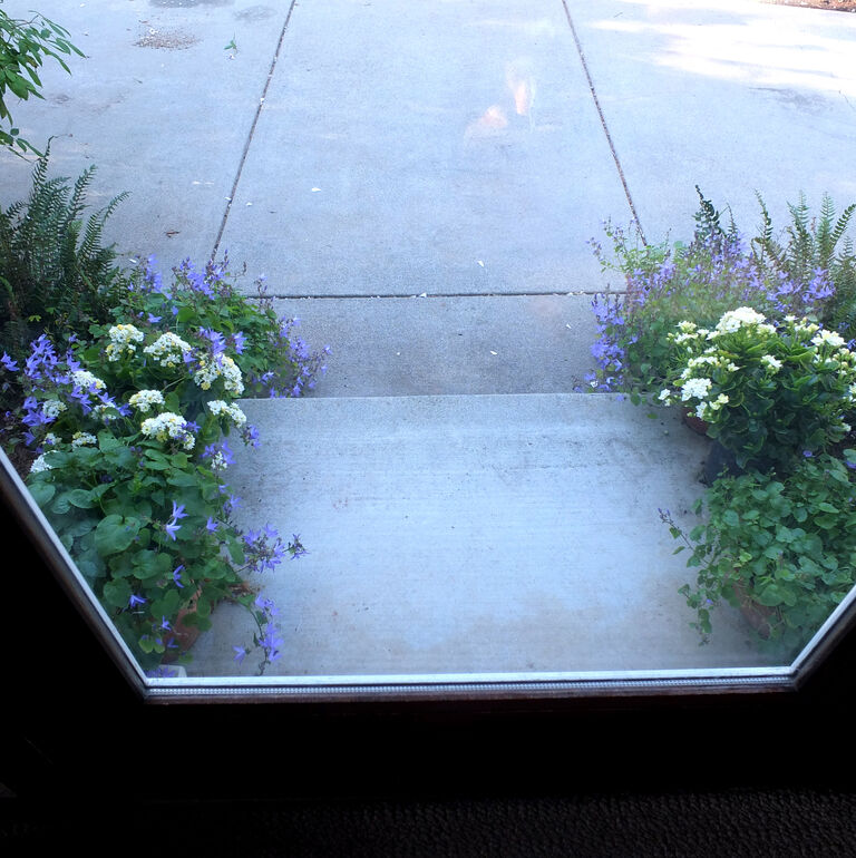 2023-06-14-flowers1