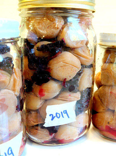 2019-08-07-umeboshi1