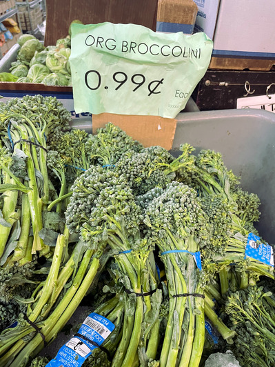 2026-06-17-broccollini6