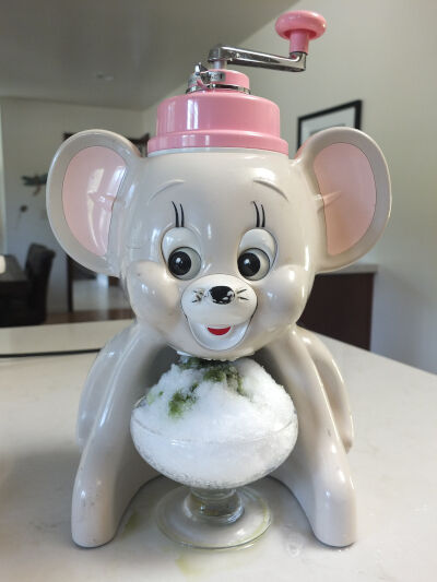 2024-08-30-ice4