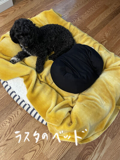 2023-07-02-oreo1