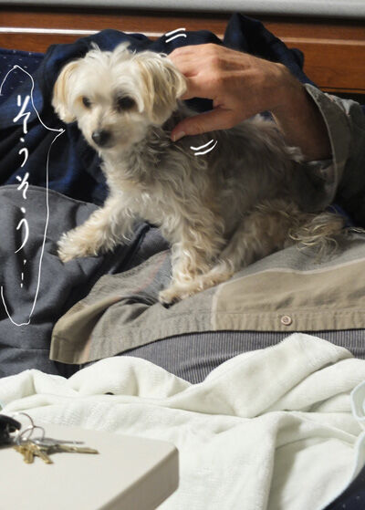 2021-05-12-rasta4