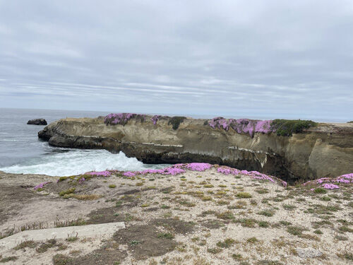 2023-06-08-santacruz2.