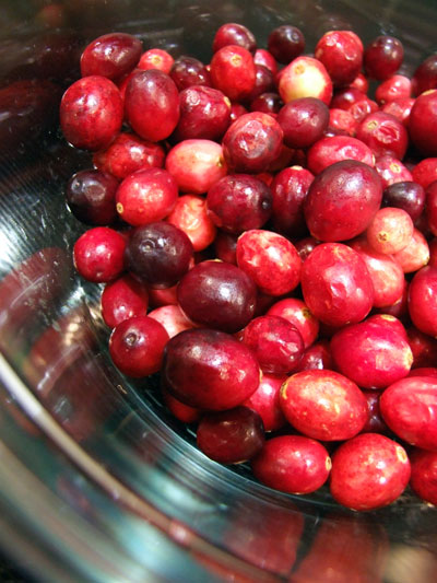2016-11-21-cranberry1
