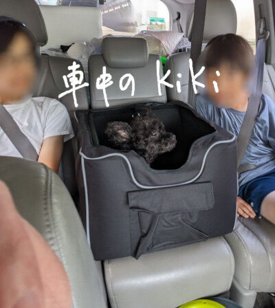 2024-09-25-kiki