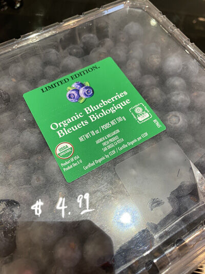 2023-03-12-blueberry9