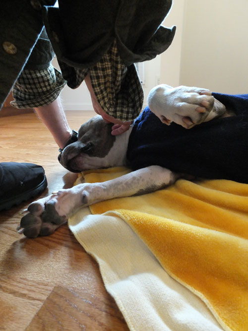 2017-12-29-shelby2