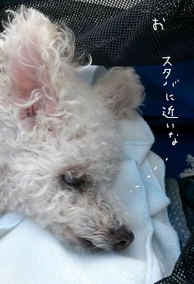 2016-10-29-buggy4