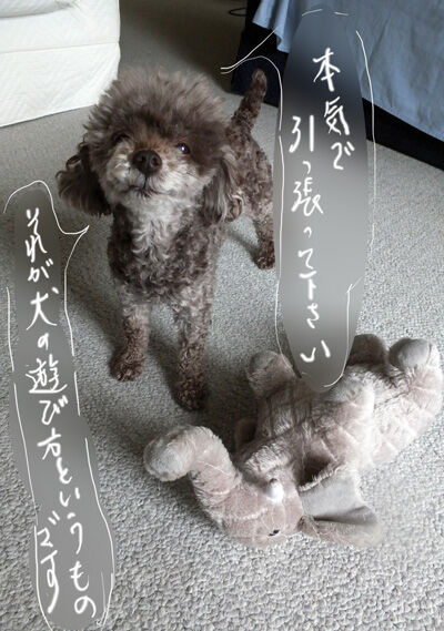 2021-07-27-judy2