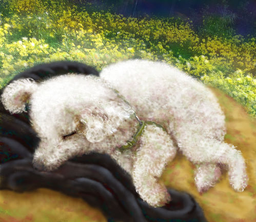 F23599D4-EAA5-4759-A4F0-7C86622D563C