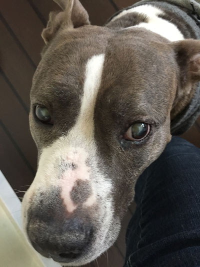 2018-03-18-shelby3