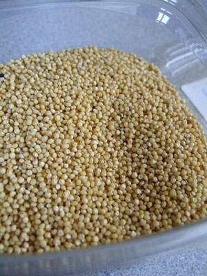 2013-12-12-quinoaseeds