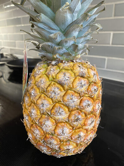 2023-03-18-pineapple3
