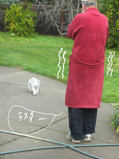 2023-02-09-rasta2