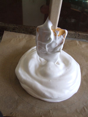 2013-12-02-pavlova6