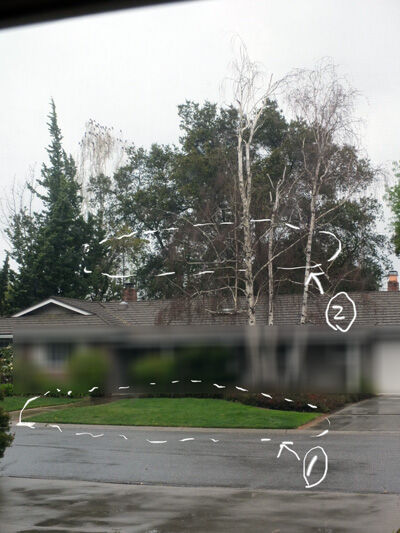 2023-03-22-craws2