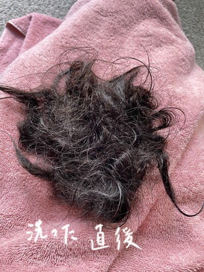 2022-09-19-hair3