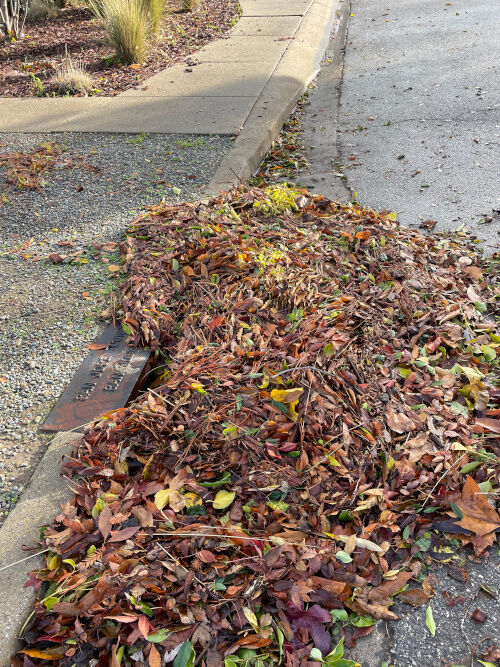 2025-12-25-drainage2