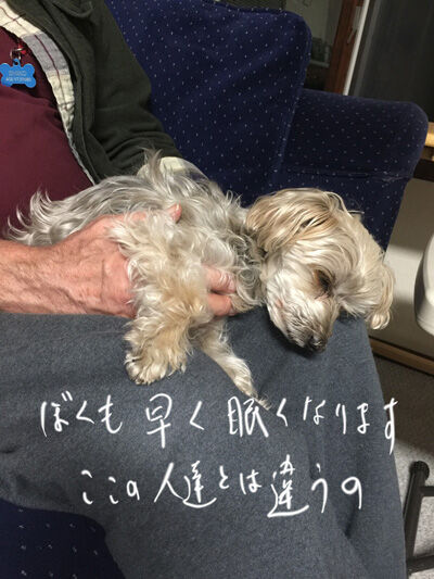 2020-12-05-rasta2